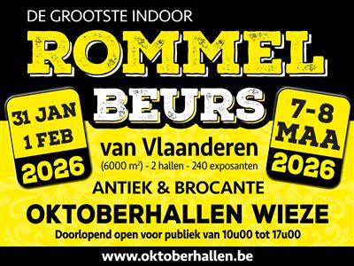 Rommelbeurs (Antiek en Brocante)  