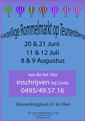 Gezellige rommelmarkt Teunenberg